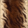 Animal Fur