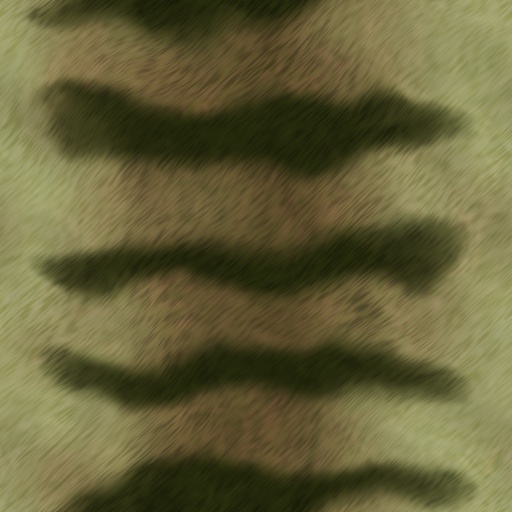 Variation 3