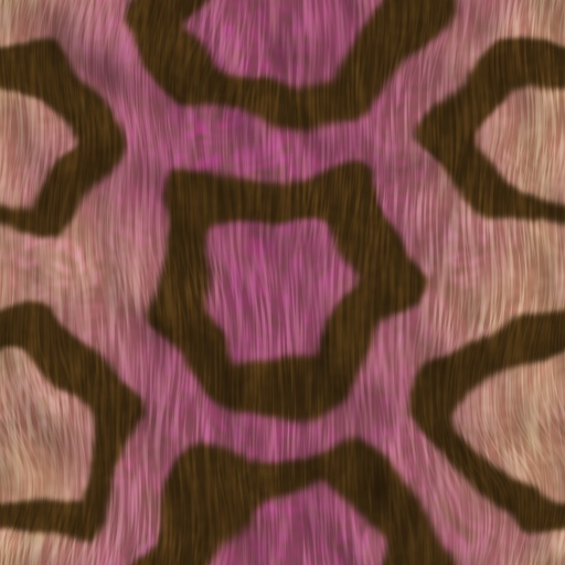 Variation 4