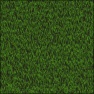 Pine Needles