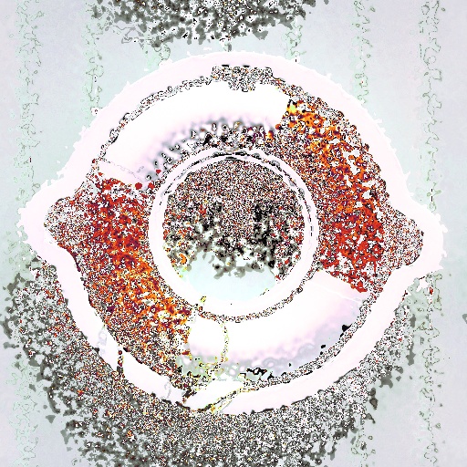 Variation 7