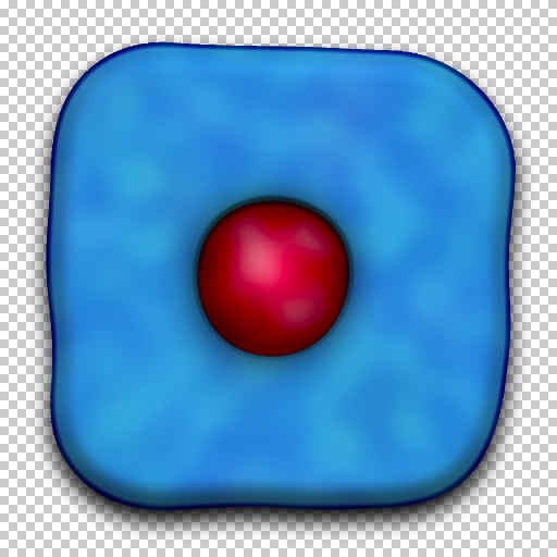 Variation 5