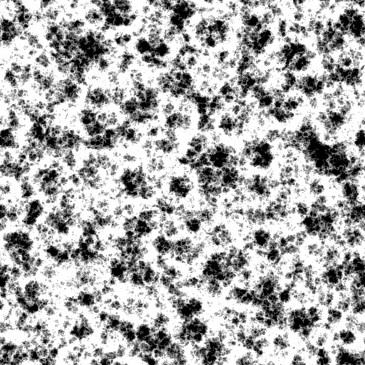 Bump Map