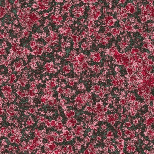 Variation 2
