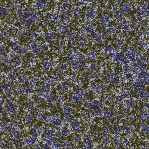 Variation 4