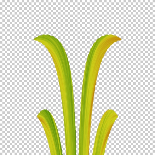 Variation 6