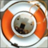 Rotate Zoom2