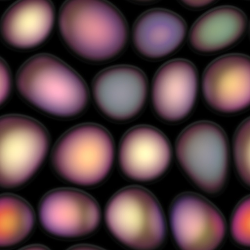 Variation 2