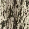 bark