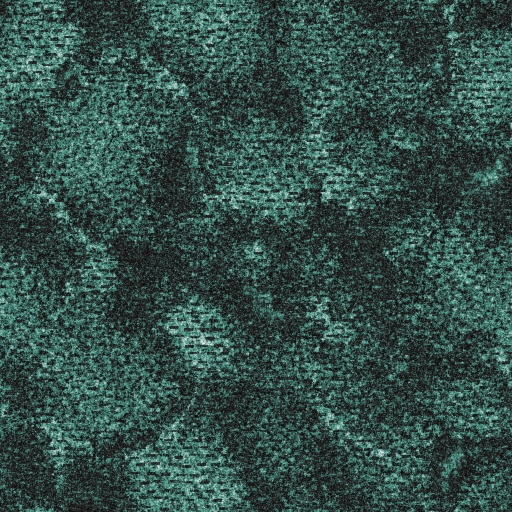 Variation 7