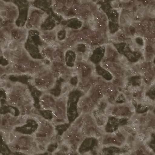 Variation 4