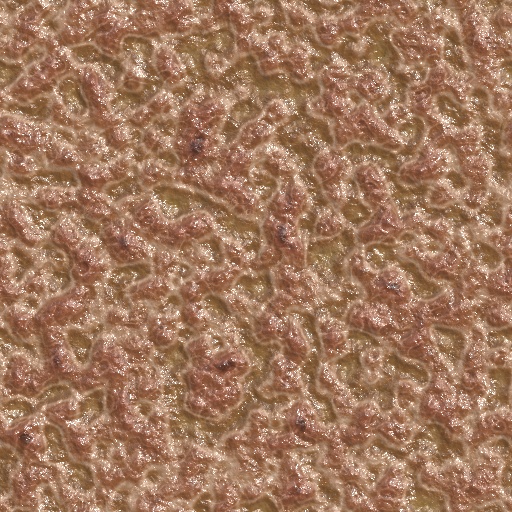 Variation 5
