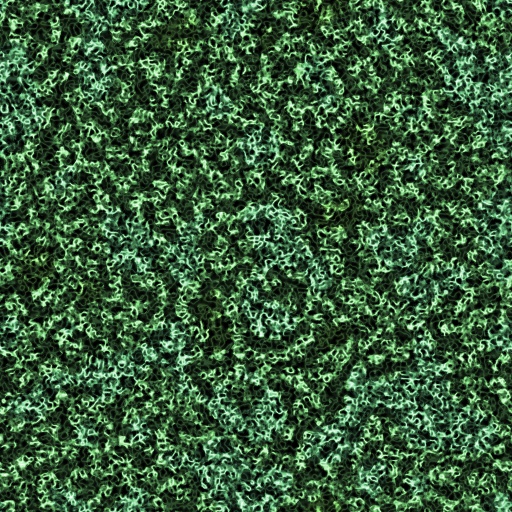 Variation 7