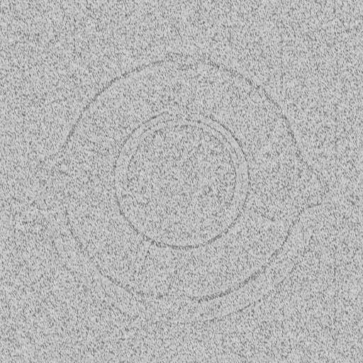 Diffuse Map