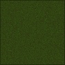 Moss