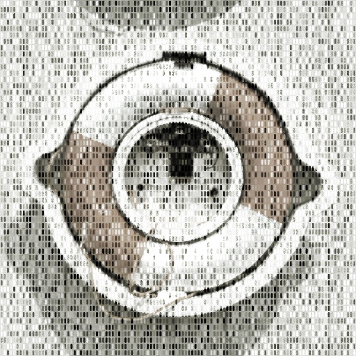 Variation 8