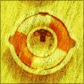 oPcolor