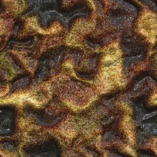 Variation 4