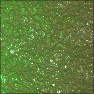 something_green