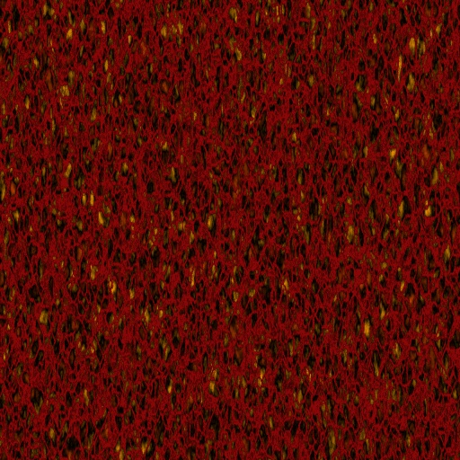 Variation 4