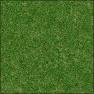 Natural Grass
