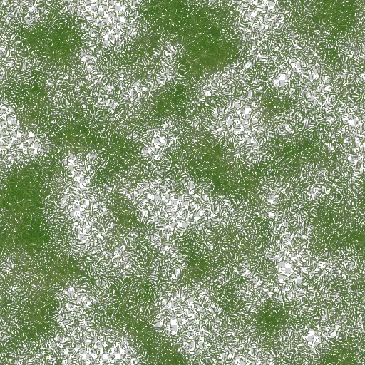 Variation 1