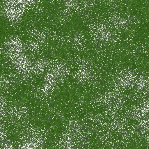 Variation 7