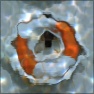Water Caustics