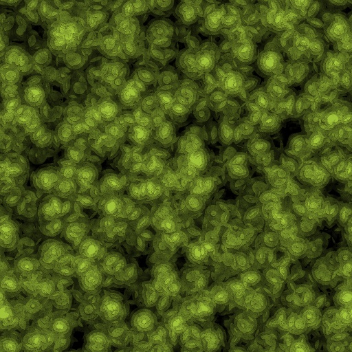 Variation 5