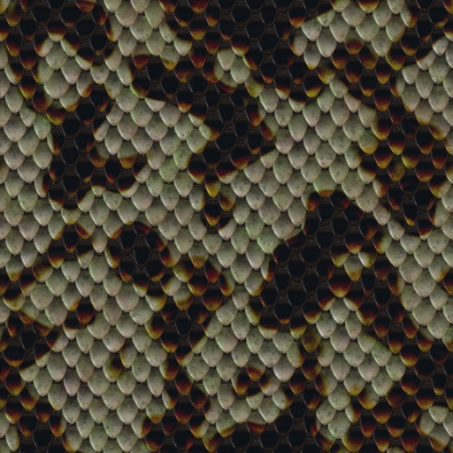 Variation 5
