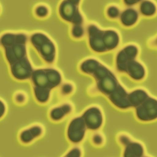 Variation 7