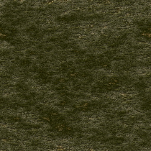 Variation 1