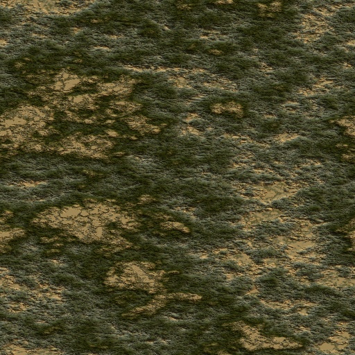 Variation 3