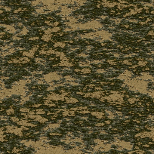 Variation 4