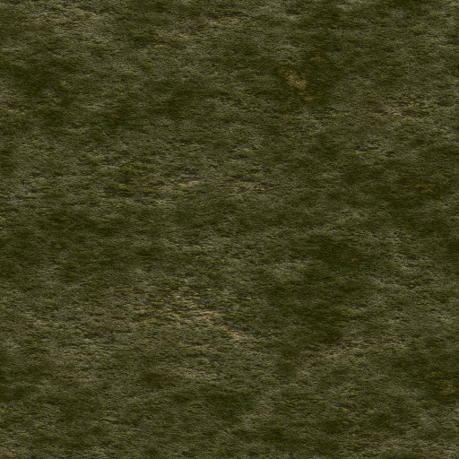 Variation 6