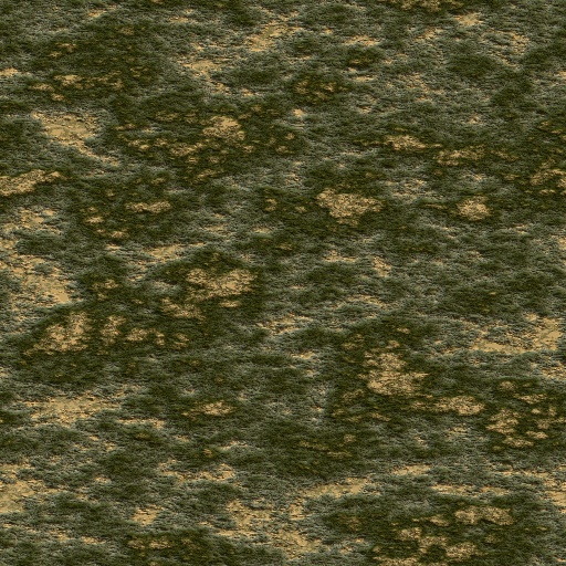 Variation 8