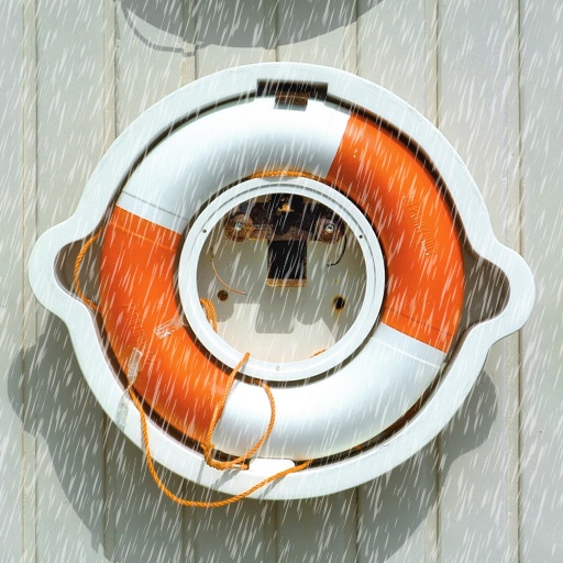 Variation 4
