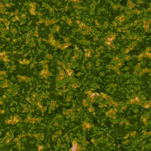 Variation 8