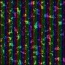 1000 lights