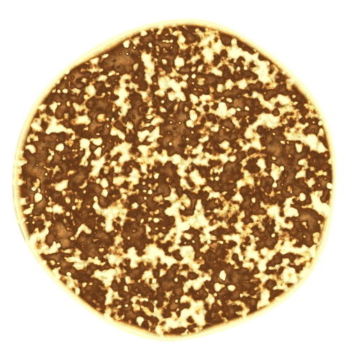Diffuse Map