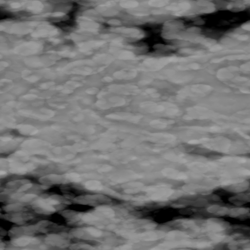 Bump Map