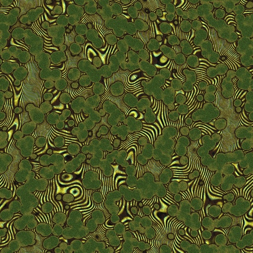 Variation 2