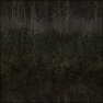 Forgotten Wall