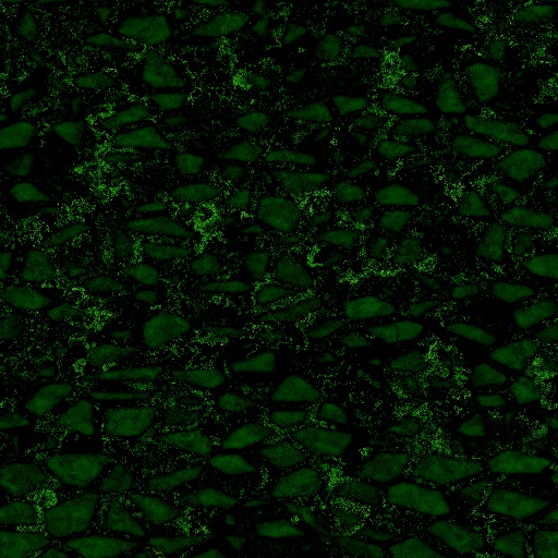 Variation 7