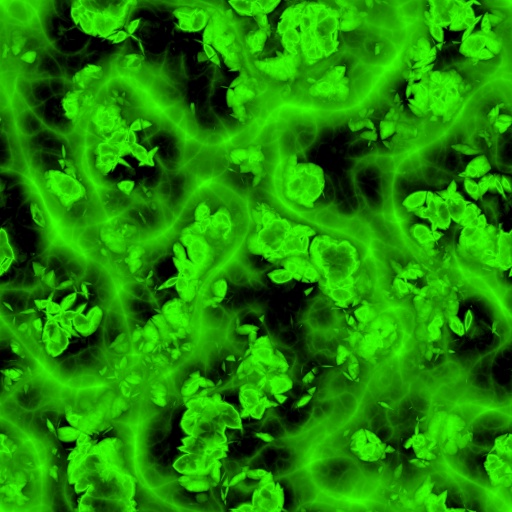 Diffuse Map