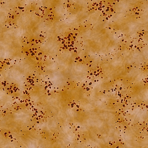 Variation 4
