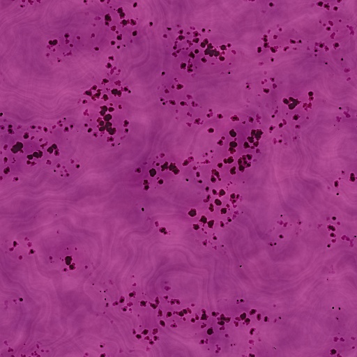 Variation 7