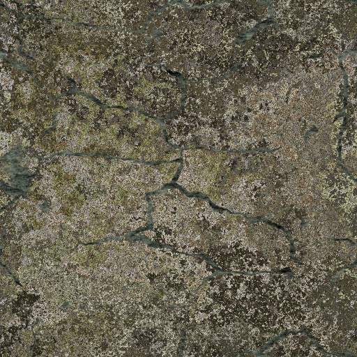 Diffuse Map