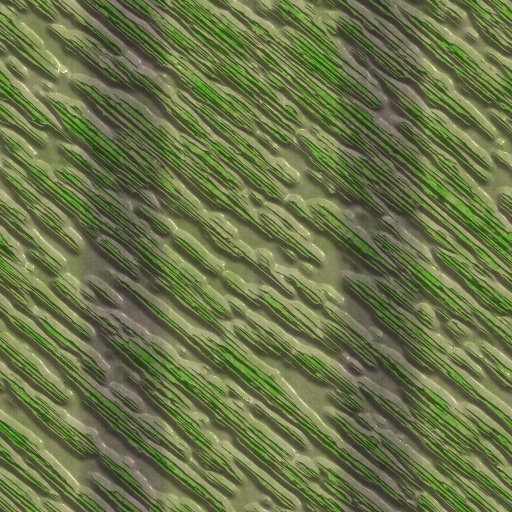 Variation 3