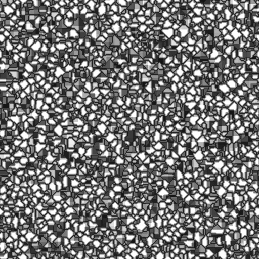 Bump Map